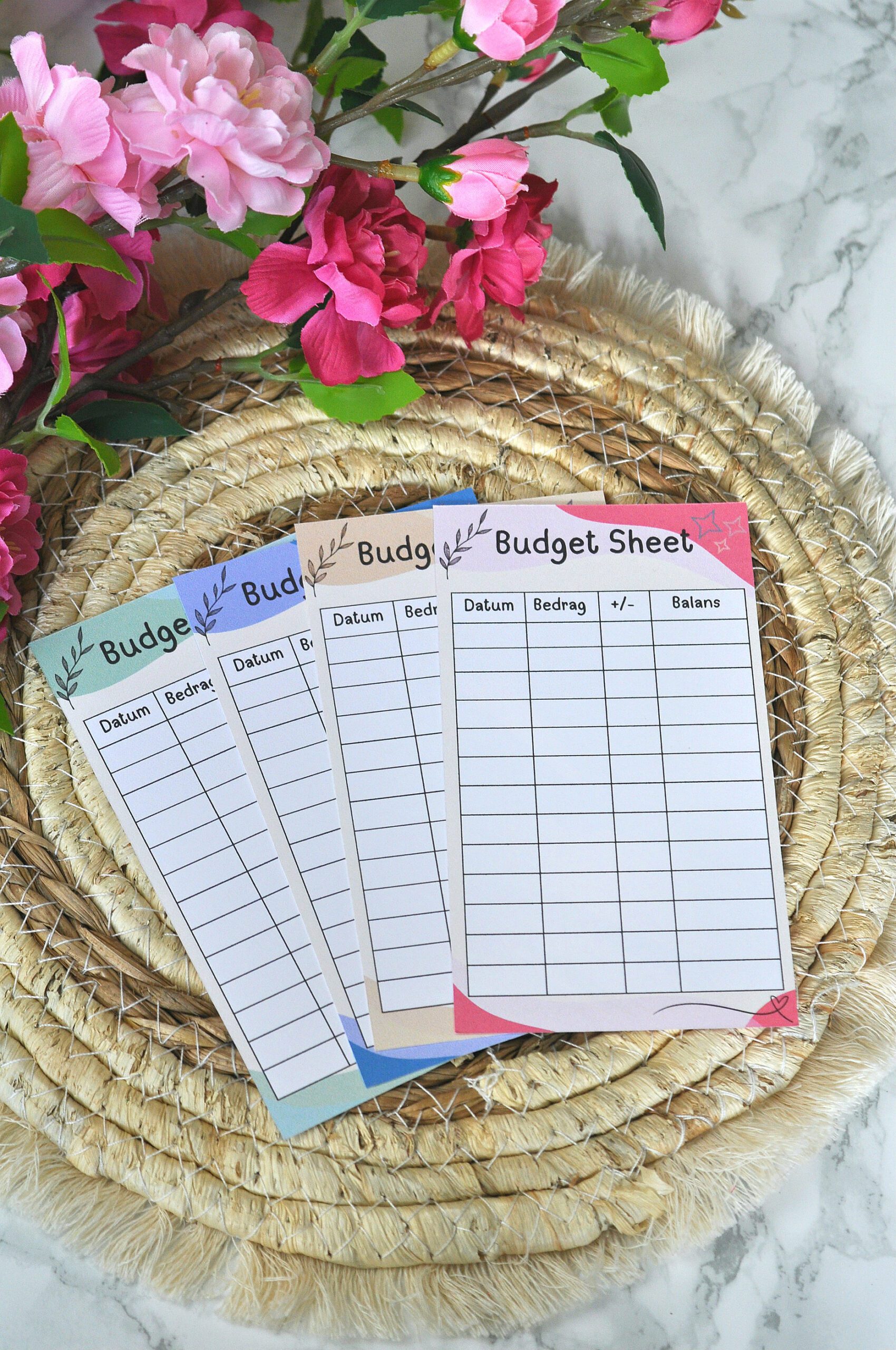 budget sheets budget sheets