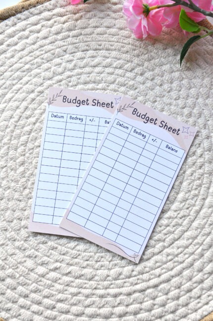 Budget sheet beige