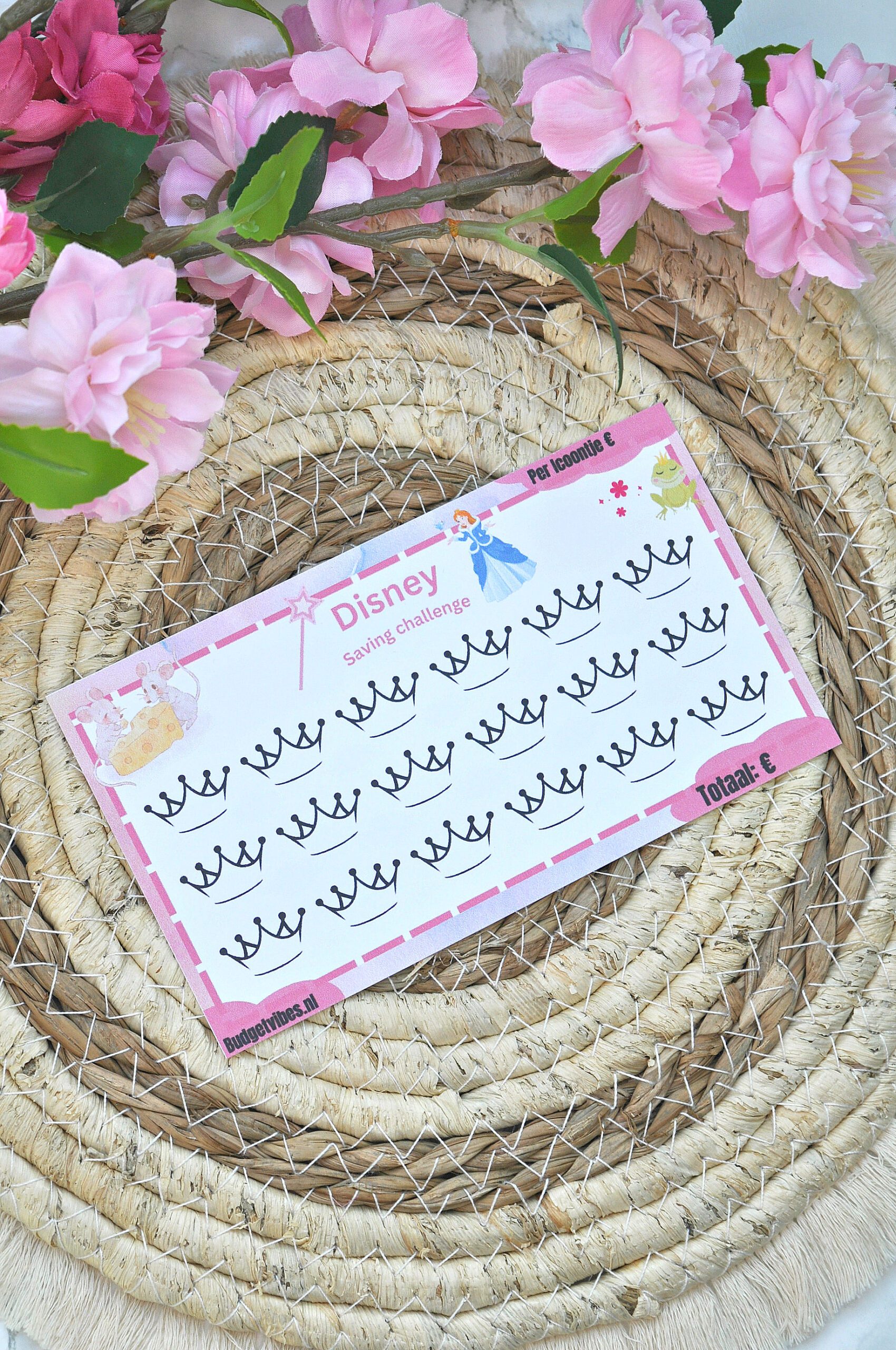 Disney saving challenge Disney saving challenge