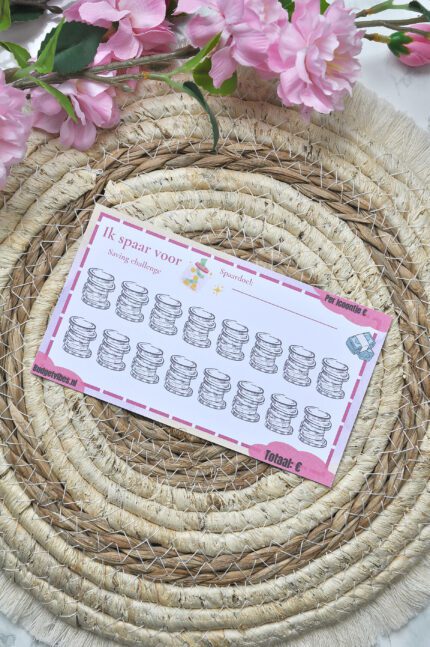 ik spaar voor munten saving challenge